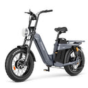 TESWAY X5 AWD Step-Thru E-Bike