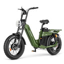 TESWAY X5 AWD Step-Thru E-Bike