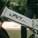 PVY