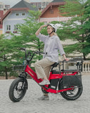 Tesway X5 Pro 48V 60Ah Long Range Electric Bike