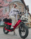 Tesway X5 Pro 48V 60Ah Long Range Electric Bike