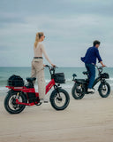 Tesway X5 Pro 48V 60Ah Long Range Electric Bike