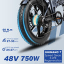 ENGWE EP-2 PRO