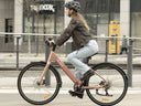 Heybike EC 1-ST Commuter E-Bike Light Pink 2