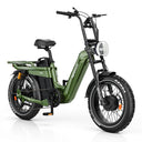 TESWAY  X5  AWD  Step-Thru E-Bike