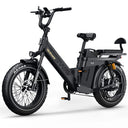 Tesway X5 Pro 48V 60Ah Long Range Electric Bike