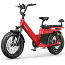 Tesway X5 Pro 48V 60Ah Long Range Electric Bike