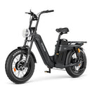 TESWAY  X5  AWD  Step-Thru E-Bike