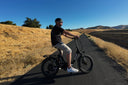 VITILAN U3 Full Suspension Foldable Fat Tire Electric Bike