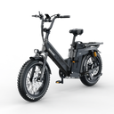Tesway X5 Pro 48V 60Ah Long Range Electric Bike